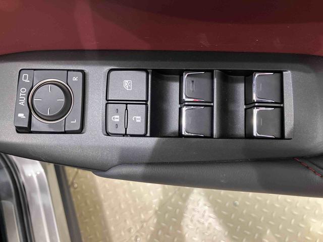 ＮＸＮＸ３００　スパイス＆シック（北海道）の中古車