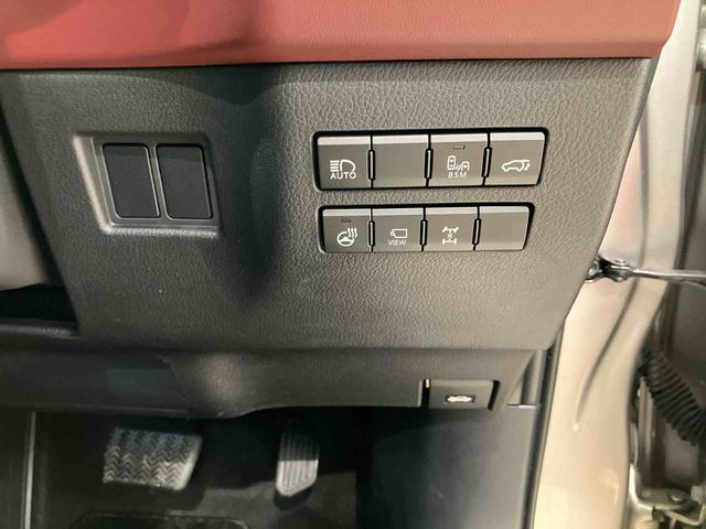 ＮＸＮＸ３００　スパイス＆シック（北海道）の中古車