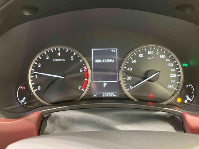 ＮＸＮＸ３００　スパイス＆シック（北海道）の中古車