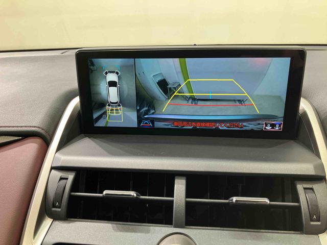 ＮＸＮＸ３００　スパイス＆シック（北海道）の中古車