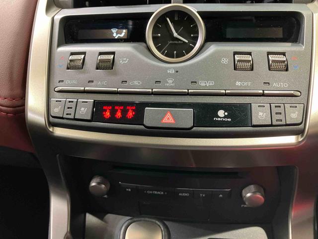 ＮＸＮＸ３００　スパイス＆シック（北海道）の中古車