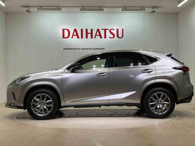 ＮＸＮＸ３００　スパイス＆シック（北海道）の中古車