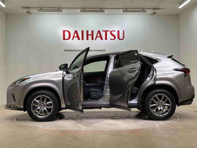 ＮＸＮＸ３００　スパイス＆シック（北海道）の中古車