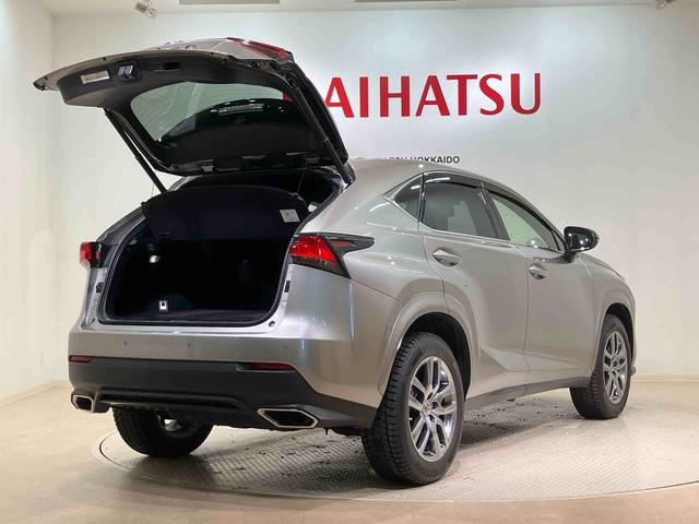 ＮＸＮＸ３００　スパイス＆シック（北海道）の中古車