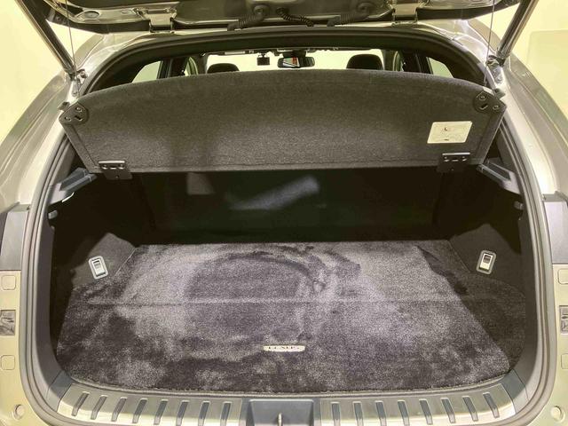 ＮＸＮＸ３００　スパイス＆シック（北海道）の中古車