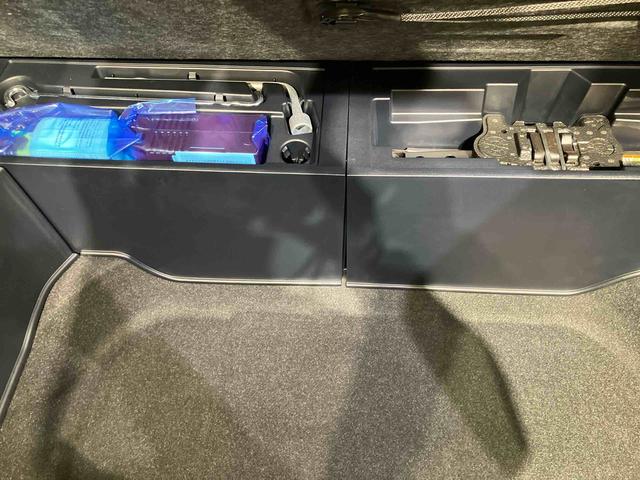 ＮＸＮＸ３００　スパイス＆シック（北海道）の中古車