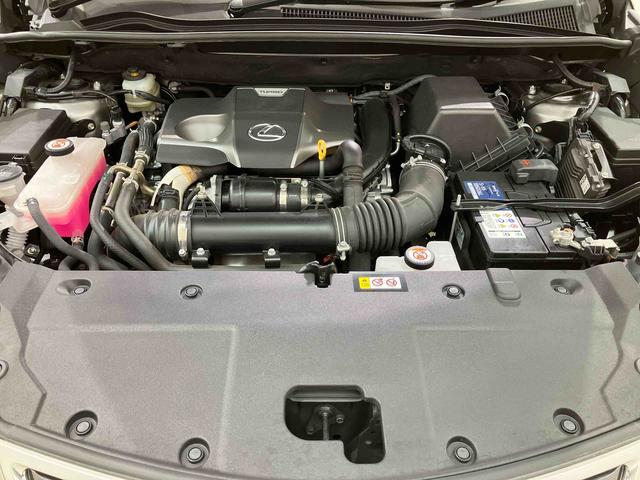 ＮＸＮＸ３００　スパイス＆シック（北海道）の中古車