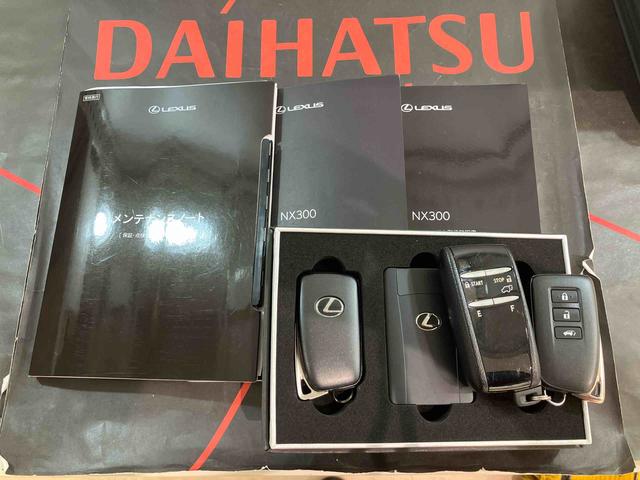ＮＸＮＸ３００　スパイス＆シック（北海道）の中古車