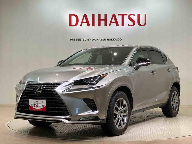 ＮＸＮＸ３００　スパイス＆シック（北海道）の中古車