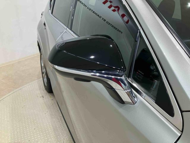 ＮＸＮＸ３００　スパイス＆シック（北海道）の中古車