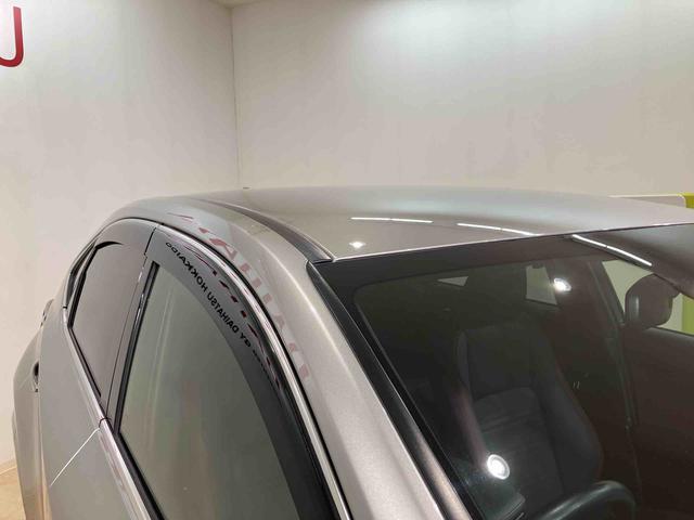 ＮＸＮＸ３００　スパイス＆シック（北海道）の中古車