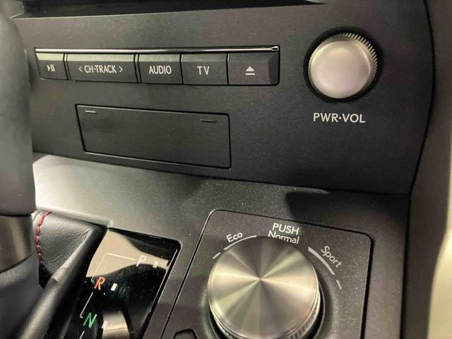 ＮＸＮＸ３００　スパイス＆シック（北海道）の中古車