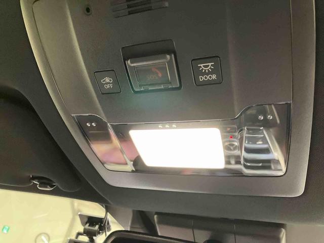 ＮＸＮＸ３００　スパイス＆シック（北海道）の中古車