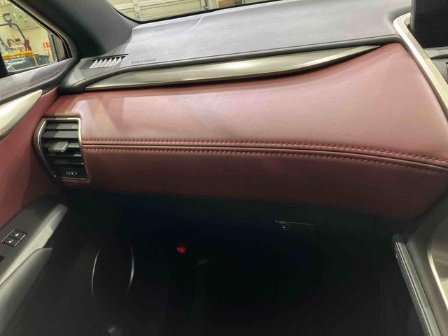 ＮＸＮＸ３００　スパイス＆シック（北海道）の中古車