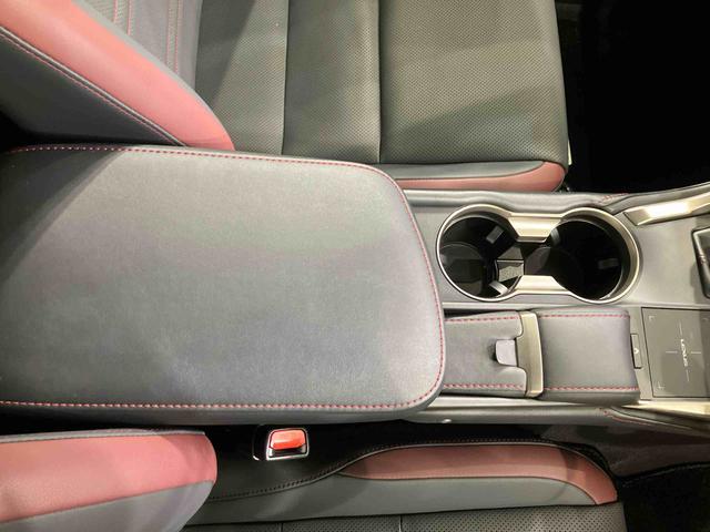 ＮＸＮＸ３００　スパイス＆シック（北海道）の中古車