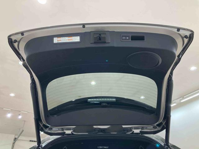 ＮＸＮＸ３００　スパイス＆シック（北海道）の中古車