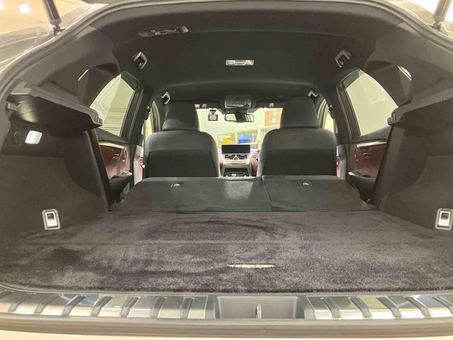 ＮＸＮＸ３００　スパイス＆シック（北海道）の中古車