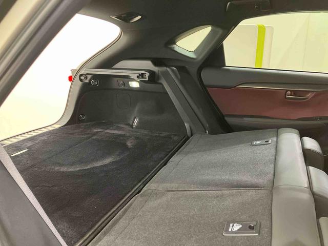 ＮＸＮＸ３００　スパイス＆シック（北海道）の中古車