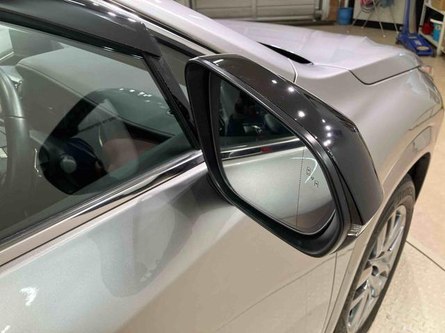 ＮＸＮＸ３００　スパイス＆シック（北海道）の中古車