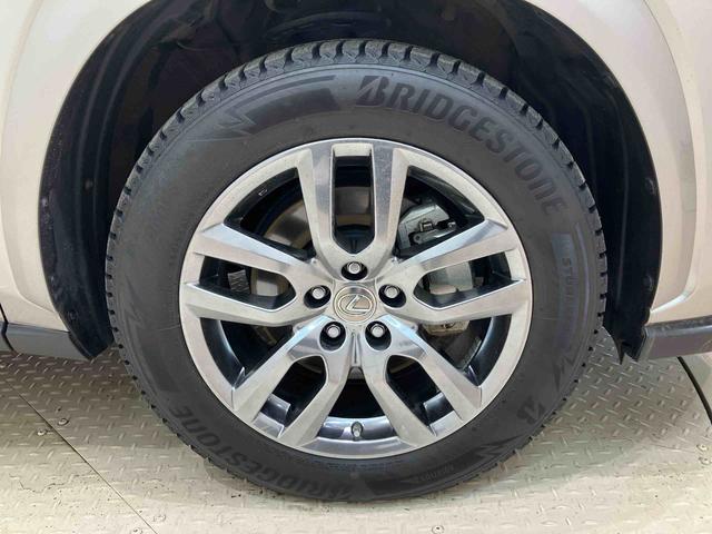 ＮＸＮＸ３００　スパイス＆シック（北海道）の中古車