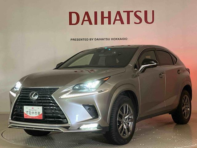 ＮＸＮＸ３００　スパイス＆シック（北海道）の中古車