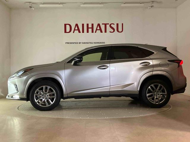 ＮＸＮＸ３００　スパイス＆シック（北海道）の中古車