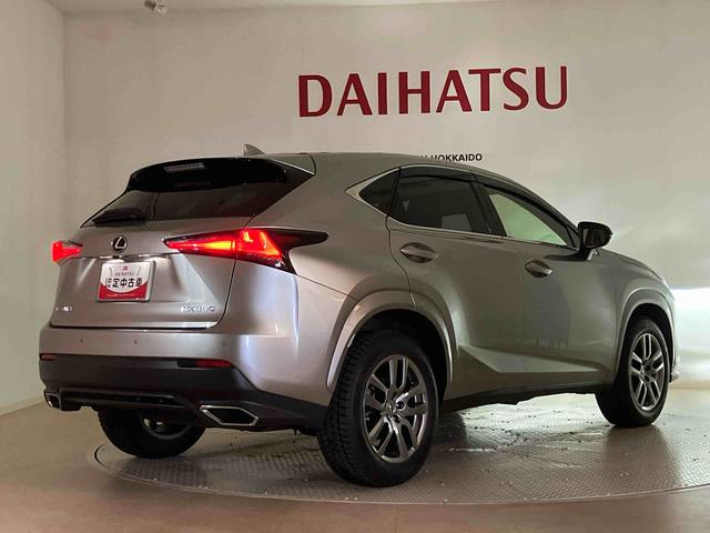 ＮＸＮＸ３００　スパイス＆シック（北海道）の中古車