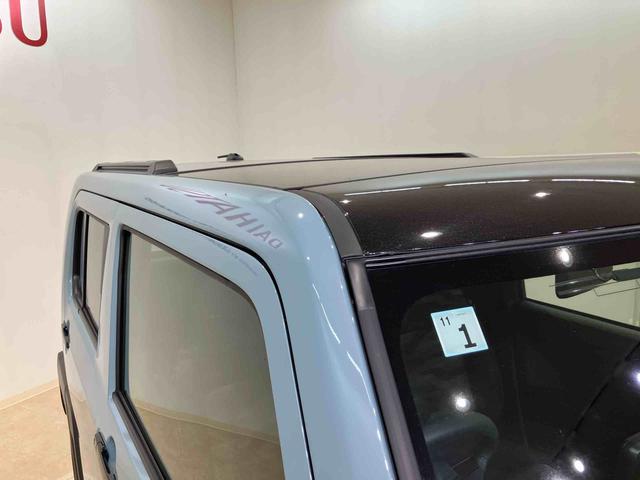 タフトＧ　ダーククロムベンチャー（北海道）の中古車
