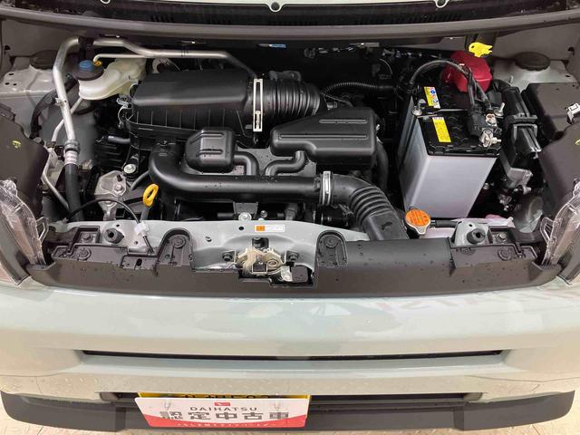 タフトＧ（北海道）の中古車