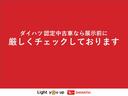 ＬＥＤヘッドライト・バックカメラ・アイドリングストップ（群馬県）の中古車