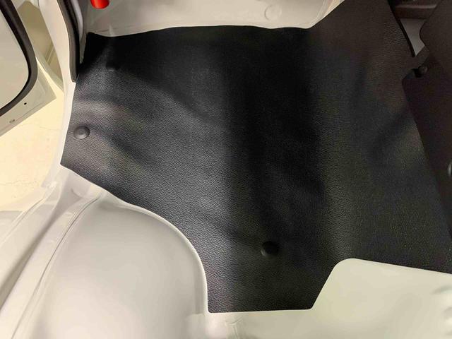 ハイゼットトラックスタンダード　農用スペシャル　４ＷＤオートライト・オートマチックハイビーム・ＡＭＦＭラジオ・マニュアルエアコン・キーレスエントリー・アイドリングストップ・スマートアシスト（群馬県）の中古車