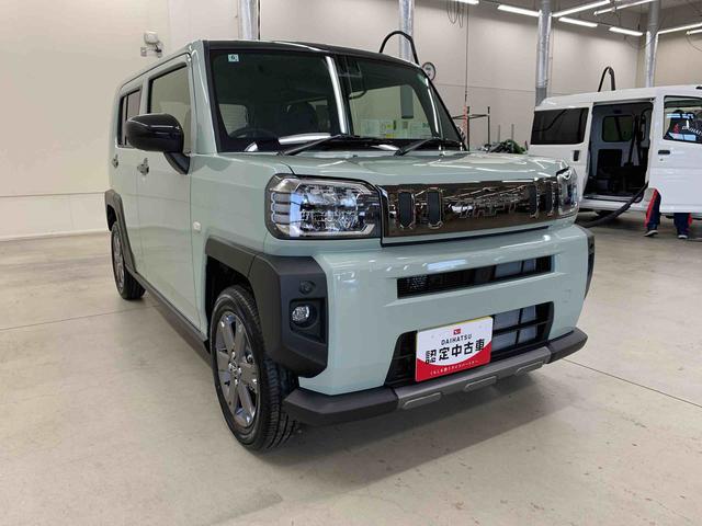 タフトＧ　ダーククロムベンチャー　２ＷＤ（群馬県）の中古車