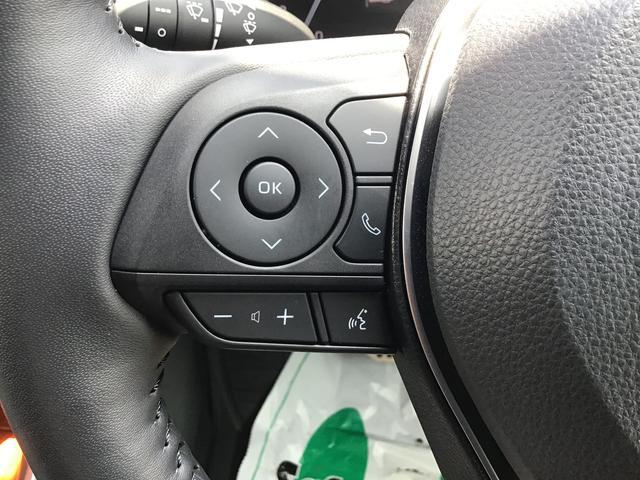 ＲＡＶ４アドベンチャー【ダイハツ認定中古車・まごころ保証１年走行距離無制限保証】　ナビゲーションシステム　バックカメラ　クルーズコントロール機能　ＥＴＣ車載器　アルミホイール（栃木県）の中古車