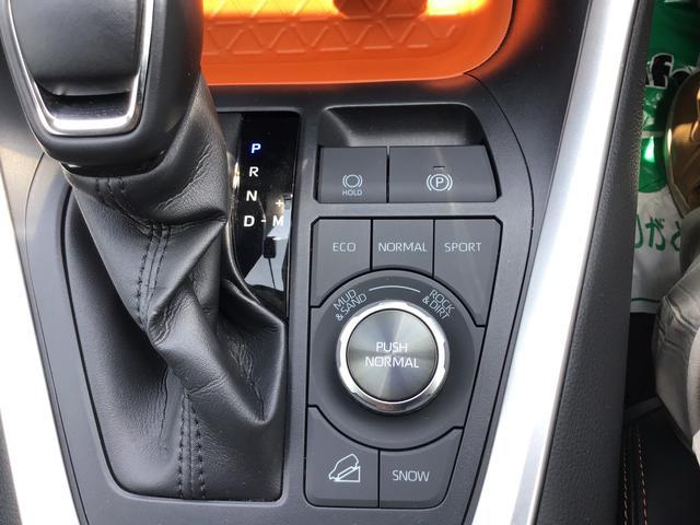 ＲＡＶ４アドベンチャー【ダイハツ認定中古車・まごころ保証１年走行距離無制限保証】　ナビゲーションシステム　バックカメラ　クルーズコントロール機能　ＥＴＣ車載器　アルミホイール（栃木県）の中古車