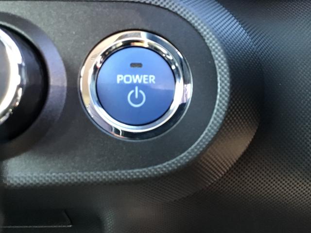 ロッキープレミアムＧ　ＨＥＶレーダクルーズ　ソナー　Ｉストップ　セキュリティアラーム　電動格納式ドアミラー　ＬＥＤヘッドランプ　キーフリーシステム　オートハイビーム　アルミホイール　衝突安全ボディ（栃木県）の中古車