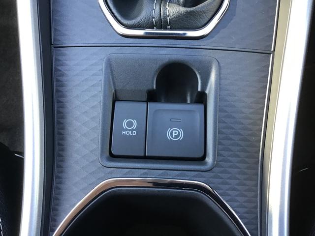 ロッキープレミアムＧ　ＨＥＶレーダクルーズ　ソナー　Ｉストップ　セキュリティアラーム　電動格納式ドアミラー　ＬＥＤヘッドランプ　キーフリーシステム　オートハイビーム　アルミホイール　衝突安全ボディ（栃木県）の中古車