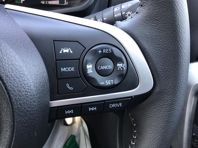 ロッキープレミアムＧ　ＨＥＶパークセンサー　追従型クルコン　車線逸脱防止　Ａストップ　盗難防止装置　オートＬＥＤ　電動格納式ドアミラー　ナビＴＶ　衝突安全ボディ　メモリーナビ　ＬＥＤ　Ｓヒーター　スマートキー（栃木県）の中古車