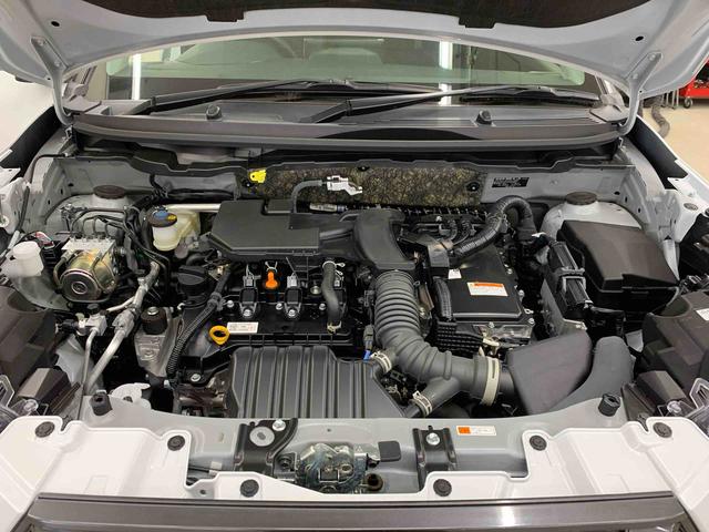 ロッキープレミアムＧ　ＨＥＶＬＥＤヘッドライト・ディスプレイオーディオ・バックカメラ・シートヒーター・スマートアシスト・プッシュボタンスタート・オートライト・オートマチックハイビーム・オートエアコン・電動格納式ドアミラー（群馬県）の中古車