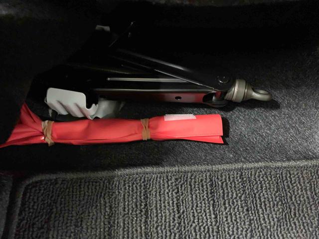 ロッキープレミアムＧ　ＨＥＶＬＥＤヘッドライト・ディスプレイオーディオ・バックカメラ・シートヒーター・スマートアシスト・プッシュボタンスタート・オートライト・オートマチックハイビーム・オートエアコン・電動格納式ドアミラー（群馬県）の中古車