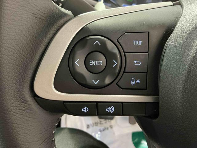 ロッキープレミアムＧ　ＨＥＶバックカメラ付き　電動格納式ドアミラー　追従式クルーズコントロール　衝突被害軽減　盗難防止　衝突安全ボディ　Ｄレコ　アルミホイル　ＬＥＤライト　オートＬＥＤ　Ｓヒーター　記録簿　１オーナー　ナビＴＶ（栃木県）の中古車