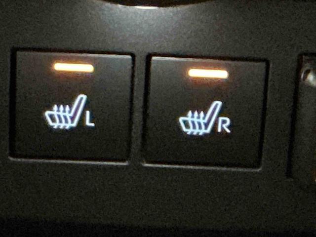 ロッキープレミアムＧ　ＨＥＶバックカメラ付き　電動格納式ドアミラー　追従式クルーズコントロール　衝突被害軽減　盗難防止　衝突安全ボディ　Ｄレコ　アルミホイル　ＬＥＤライト　オートＬＥＤ　Ｓヒーター　記録簿　１オーナー　ナビＴＶ（栃木県）の中古車