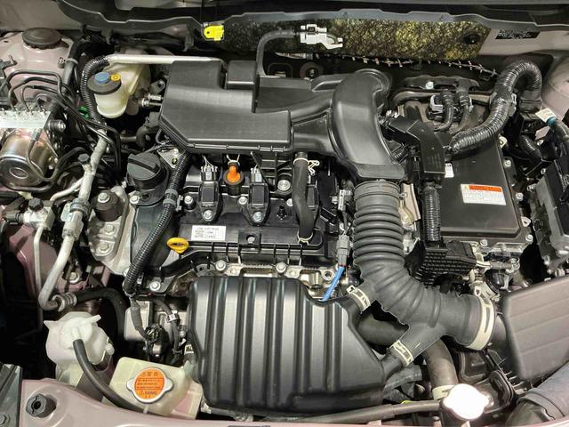 ロッキープレミアムＧ　ＨＥＶバックカメラ付き　電動格納式ドアミラー　追従式クルーズコントロール　衝突被害軽減　盗難防止　衝突安全ボディ　Ｄレコ　アルミホイル　ＬＥＤライト　オートＬＥＤ　Ｓヒーター　記録簿　１オーナー　ナビＴＶ（栃木県）の中古車