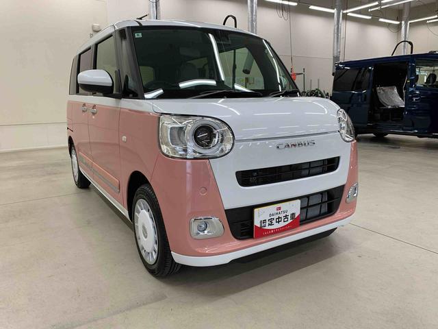 ムーヴキャンバスストライプスＧ　２ＷＤ（群馬県）の中古車