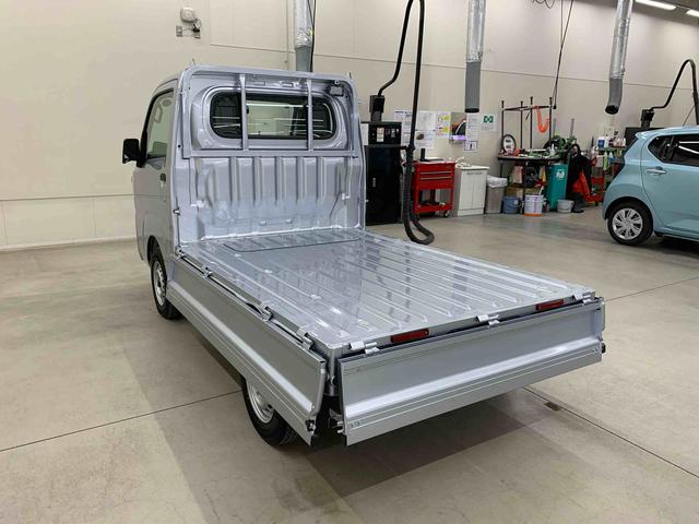 ハイゼットトラックスタンダード　農用スペシャル　４ＷＤオートライト・オートマチックハイビーム・ＡＭＦＭラジオ・キーレスエントリー・アイドリングストップ・マニュアルエアコン・スマートアシスト（群馬県）の中古車