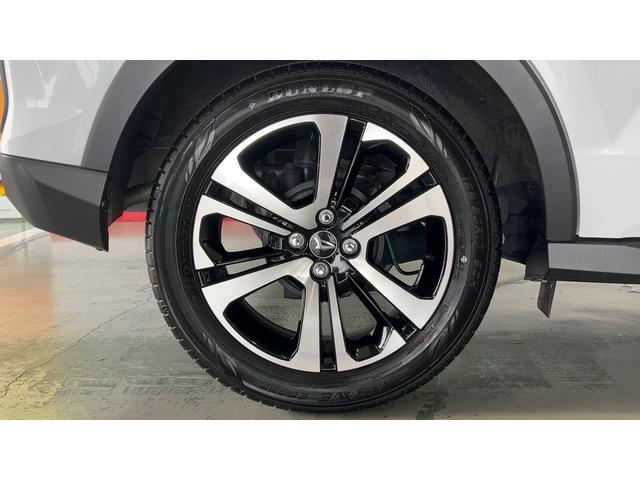 ロッキープレミアムＧ（茨城県）の中古車