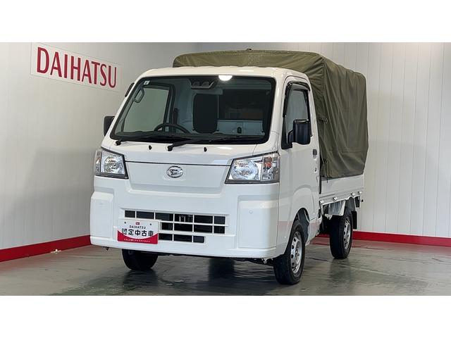 ハイゼットトラックスタンダード（茨城県）の中古車