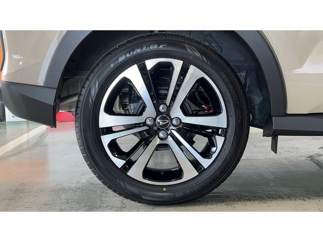 ロッキープレミアムＧ（茨城県）の中古車