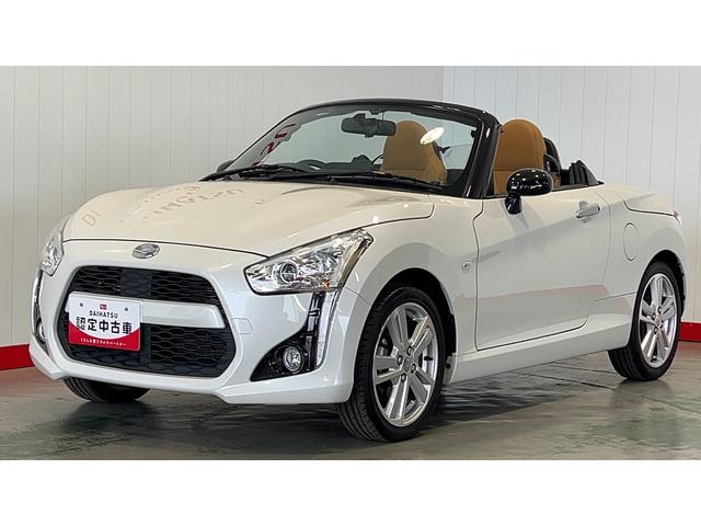 コペンローブ（茨城県）の中古車