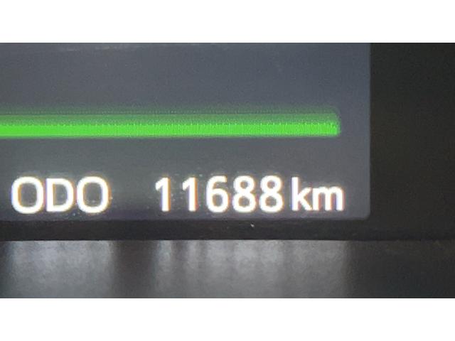 トールＧ（茨城県）の中古車