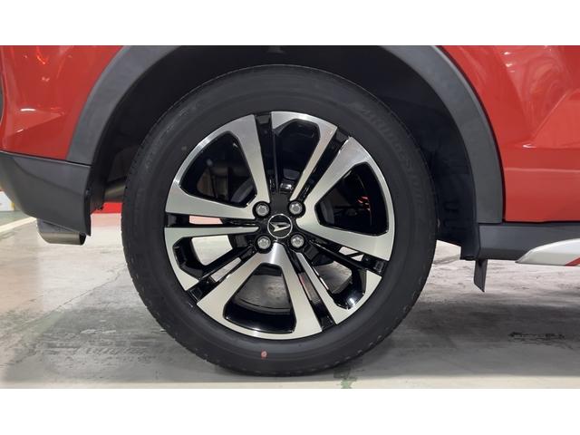 ロッキープレミアム（茨城県）の中古車